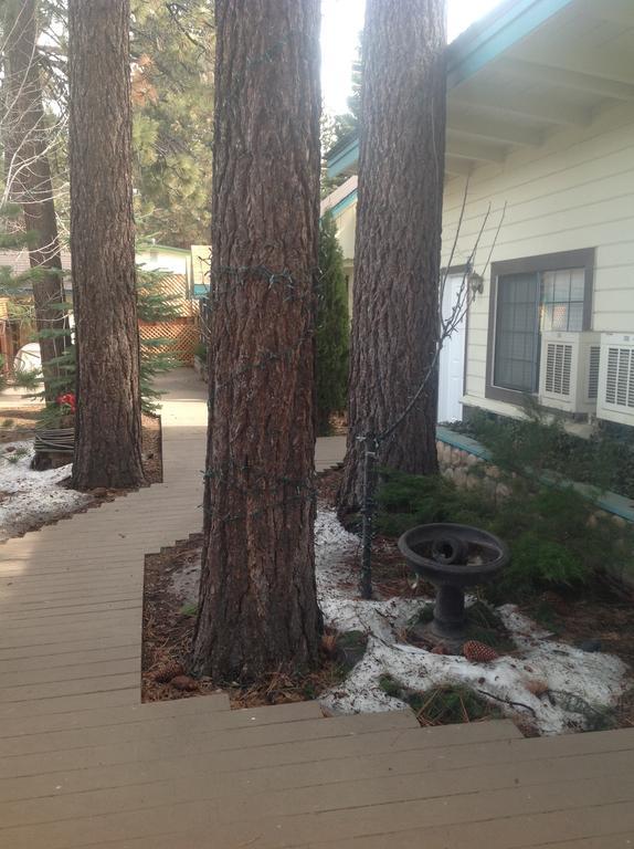 Tahoe Chalet Inn, The Theme Inn Lake Tahoe Airport Eksteriør billede